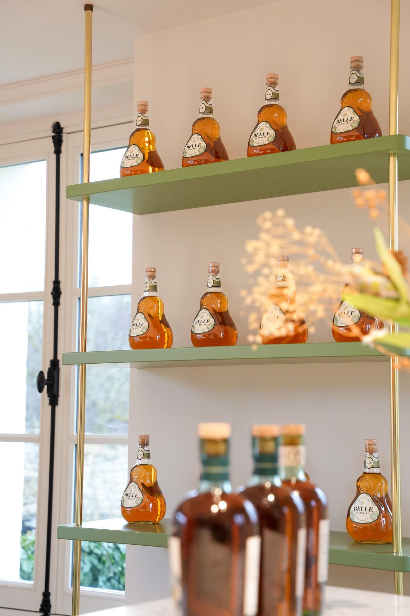 Belle de Brillet A10